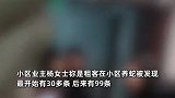 租客民房内养上百条蛇，被发现后拒搬离遭堵门：整栋楼的业主都害怕