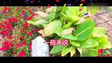 情感语录：女人最吸引男人从不是美貌，而是这四点，错不了