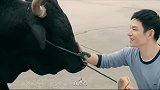 疯狂的公牛：专家给牛看病，得知牛是便秘，两个下属偷摸扒拉牛粪