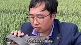 爆笑迷惑图鉴，家有此妻，枸杞难医