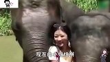 爆笑和大象合影，妹子你可要注意安全呀
