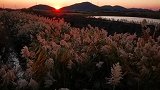 夕阳落下的暮色总是带着一种诗意的浪漫