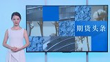创一个半月来最高，领涨市场、供应紧张！这一中国期货值得关注
