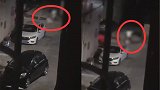 广东一女子深夜被两男子拖入巷中暴打 警方：已立案侦查