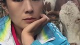 小牛犊被拉走卖掉，牛妈妈一直顶女主人求救孩子