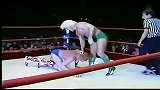 WWE-14年-那些年的五星比赛：Ric Flair vs Barry Windham-专题