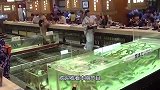 拿破仑鱼有多珍贵？日本顶级大厨开刀，眼前场面让人惊艳！