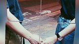 生活需要一起走过和面对