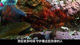 中国渔民又立大功，意外捞出5000吨“巨宝”，美：赶紧奉还