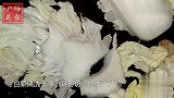 白菜最好吃的一种做法，好吃到骨子里，比大鱼大肉还香！