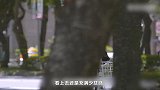《女人30+》昆凌穿大号黑西装娇小可爱，自曝婚前曾感到恐惧