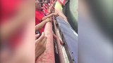 中超-17赛季-建业老球迷泪洒看台 失声痛喊对不起球迷-花絮