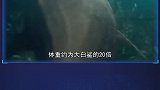 7种有可怕牙齿的动物