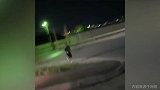 小鹰爬坡慢跑拉体能！下场UFC何时能安排上？