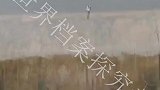 这防线出来了就没有逃掉的份了