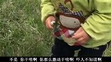 大鱼别激动，我马上把小鱼放回去