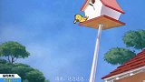 猫和老鼠方言配音：杰瑞和小鸟达成合作，共同抵抗不依不饶的汤姆