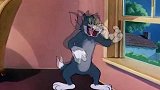 猫和老鼠：汤姆真是飘了，趁着主人不在家，召集野猫开派对！