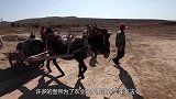 河南发现千年“粮仓”，储存粮食50万斤，粮食至今都能发芽！