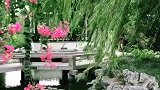 你翩然起舞，我欣然为伍，嫣红翠绿，相映成趣