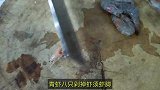 青虾炖汤第一步你就错了，大厨教你两个窍门，汤鲜味美上桌就抢光