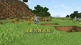 我的世界1.16联机2：迪哥为什么要追我？我就拿了一个铁锭啊