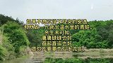 如果不愿沉溺于现实的安逸，那就做一只跳出温水里的青蛙