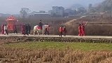 路遇接亲队伍骑白马抬花轿，中式婚礼属实让人羡慕了