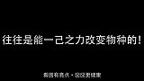 发现一团乱，狗子露出尴尬又不失礼貌的微笑…伸手不打笑脸狗哈！