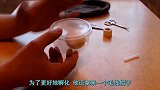 男子将自己精子注入鸡蛋，10天后，诞生了一个什么东西？
