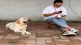 到底是人学狗呢还是狗学人呢