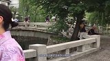 日本最美泉水之城，下水道都能养“锦鲤”，游客纷纷慕名前来