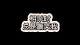 我觉得我有必要跟他好好谈一谈了 星探家 萌宠 猫咪