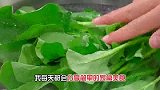 天热不知道吃什么的时候，你就试试这道凉拌菠菜，做法简单又好吃