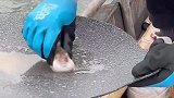 煎完鱼没刷子刷锅，让河豚过来营业