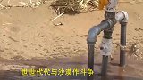 中国治沙创奇迹，万亩沙漠变绿洲良田，预计可造福数亿人口