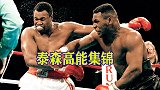致敬一代传奇！拳王泰森高能集锦，横扫拳坛如秋风扫落叶一般！