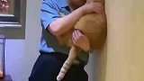 老爸喝醉抓着橘猫讲道理，还和看热闹的白猫打架