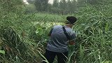 连续给了三声爆口，小伙果断刺鱼，简直太牛了！