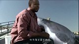 男子钓到一条小鲨鱼，刚想放生，不料意外的事情发生了