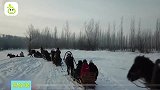 新疆布尔津：雾凇美景引八方游客，享冬日魅力