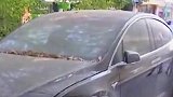 特斯拉扔路边3个月？车主好任性
