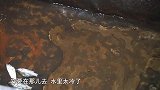 桃子姐心情不好，包立春下厨煮一碗番茄鸡蛋面安慰