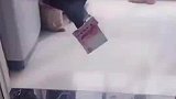 八哥每天往家里叼钱，已经送了满满一抽屉