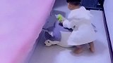 妹妹：哥，你快点上来吧，等你一起翘二郎腿呢