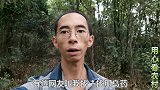“乌药”又名铜钱柴，长得跟樟树相似，一起认识下长什么样