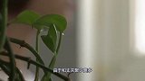 已婚女“出轨”男同事，原本是图一时“快乐”，自己却越陷越深