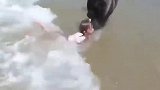 小萝莉宝宝在海边玩耍，被海浪打了一下，愣是被自家狗子拖上岸了