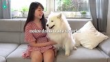 和狗子亲亲的太频繁，狗子会不会烦躁？