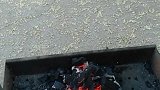燃烧吧，小宇宙，山因你而灿老师